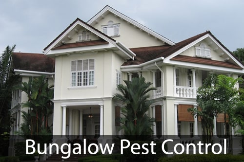 Bungalow Pest Control Pune