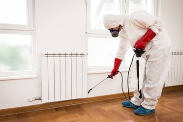 Pest Control Services in Fort