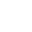 Fly